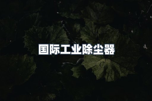 国际工业除尘器